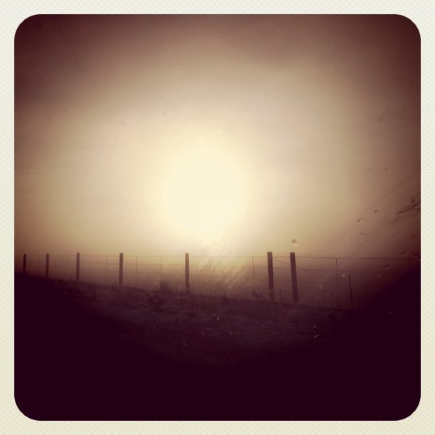 Fog in Lehi