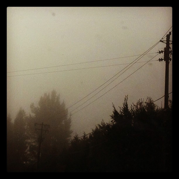 Foggy this morning...